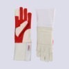 fencing glove